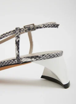 Heels><noscript><img width=